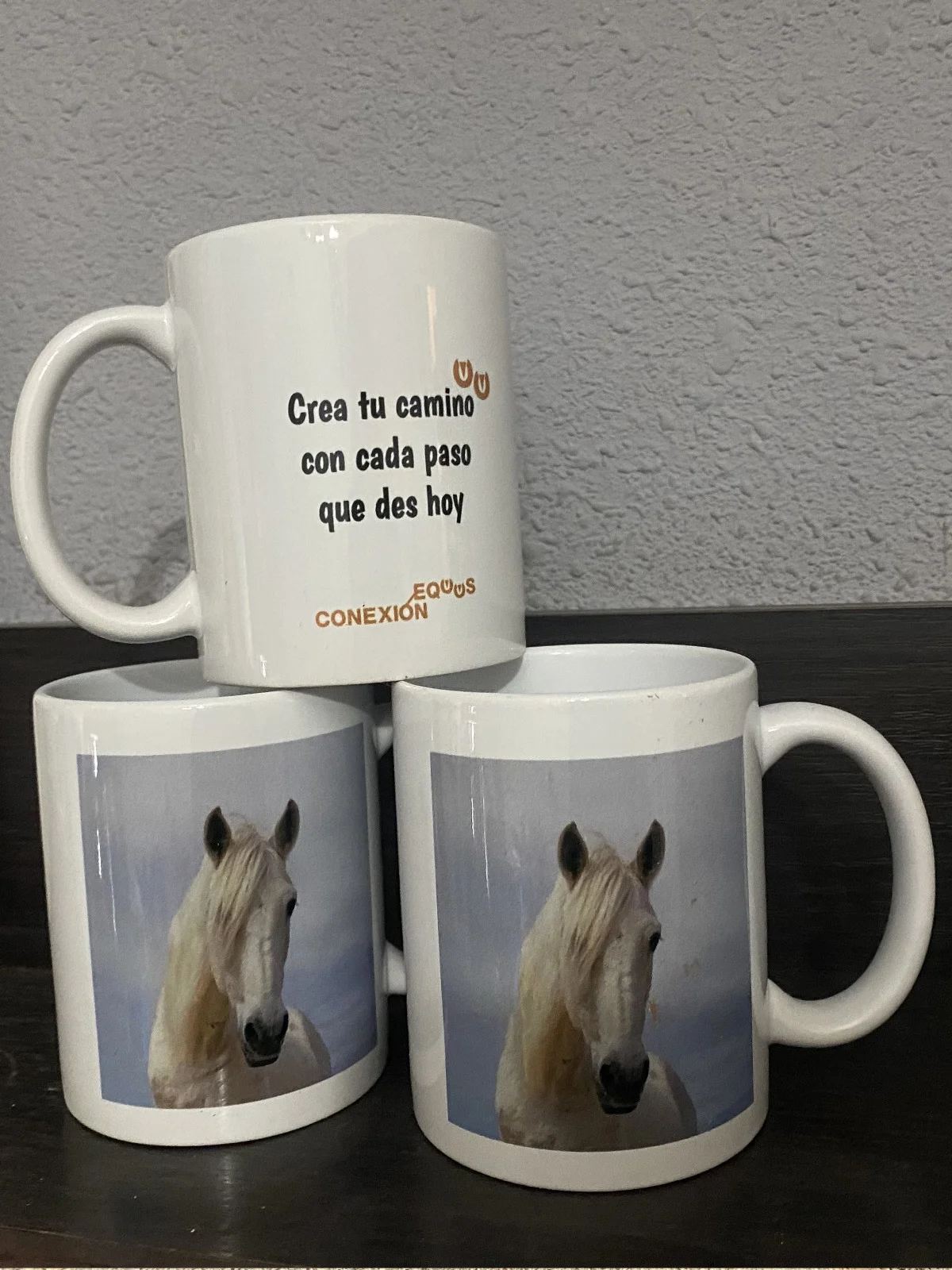 Taza Conexión Equus